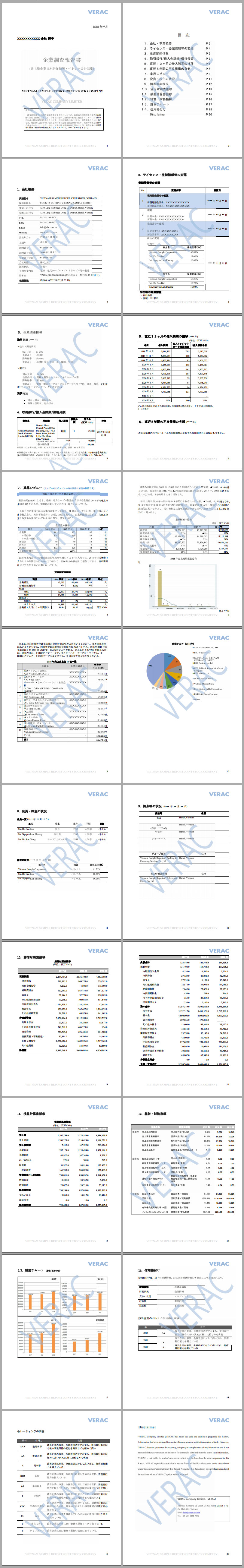 ベトナム企業信用調査 Verac